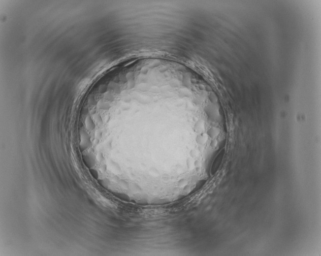 X0000075400145200609291650
