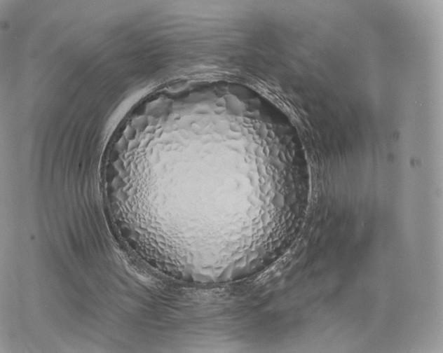 X0000075400147200609291650