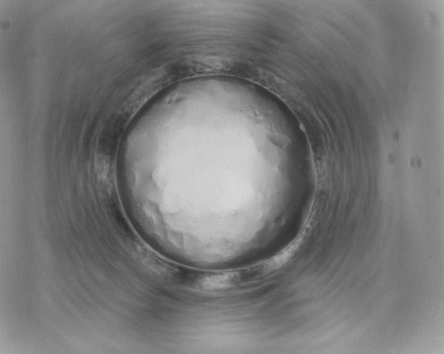 X0000075400178200609291650