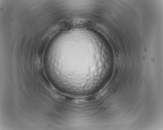 X0000075400327200609291647