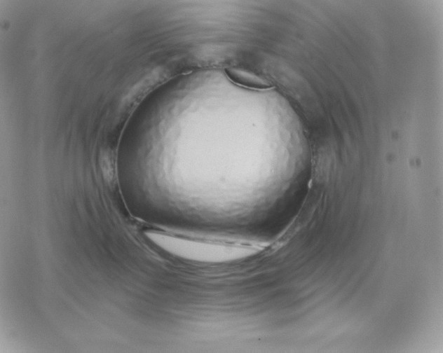 X0000075400335200609291647