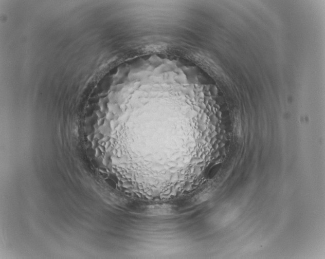 X0000075400363200609291647
