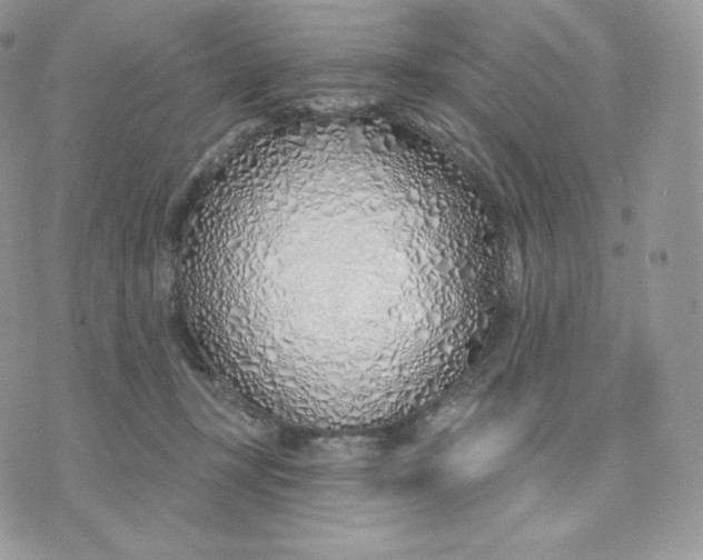 X0000075400367200609291647