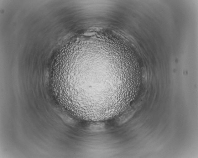 X0000075400369200609291647