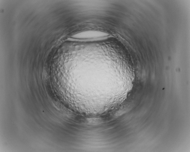 X0000075400371200609291647