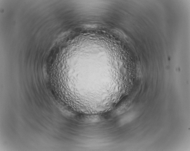 X0000075400377200609291647