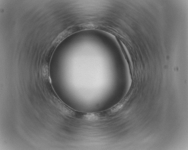 X0000075400425200609291646
