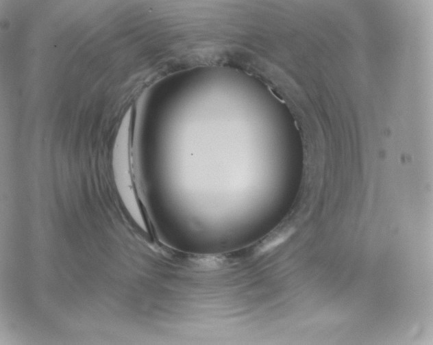X0000075400432200609291646