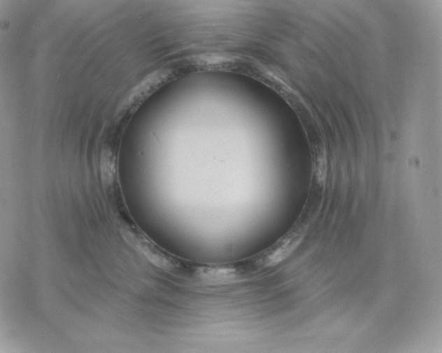 X0000075400476200609291646