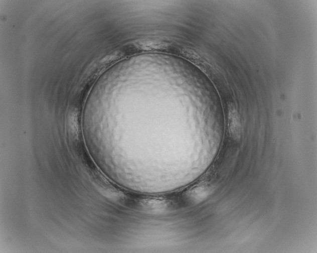 X0000075400506200609291645