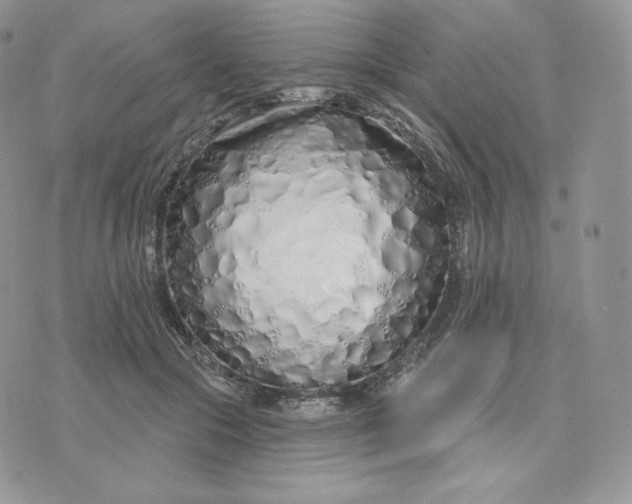 X0000075400553200609291644