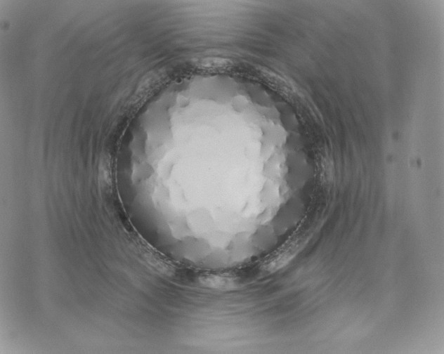 X0000075400561200609291644