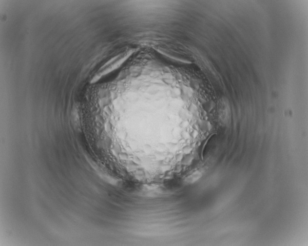 X0000075400573200609291644