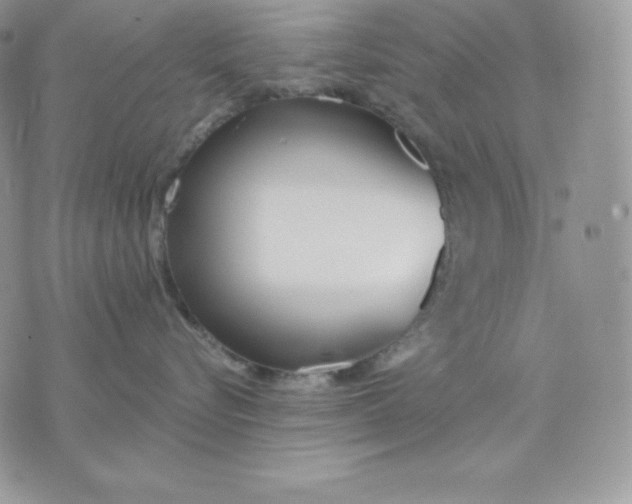 X0000075400576200609291644