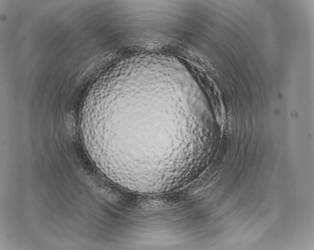 X0000075400594200609291643