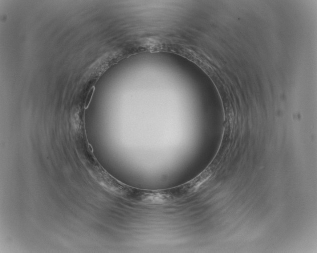 X0000075400611200609291643
