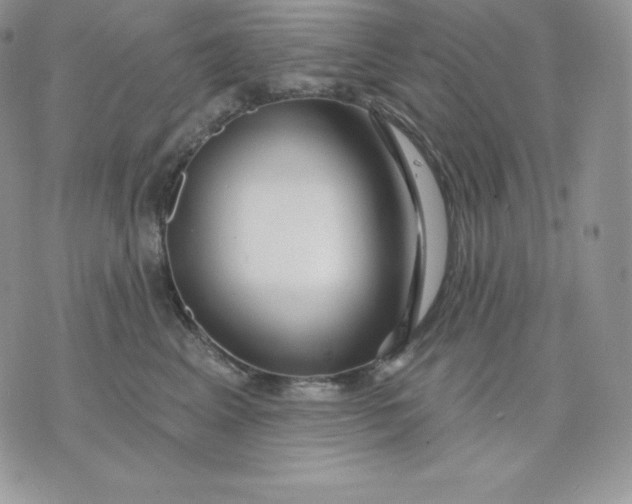 X0000075400617200609291643