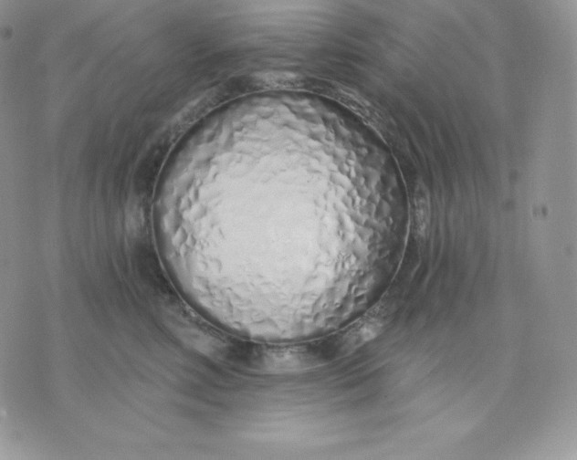X0000075400618200609291643