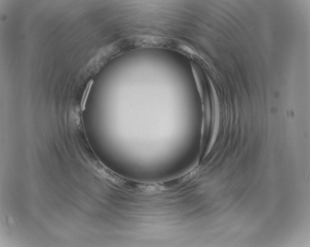 X0000075400621200609291643