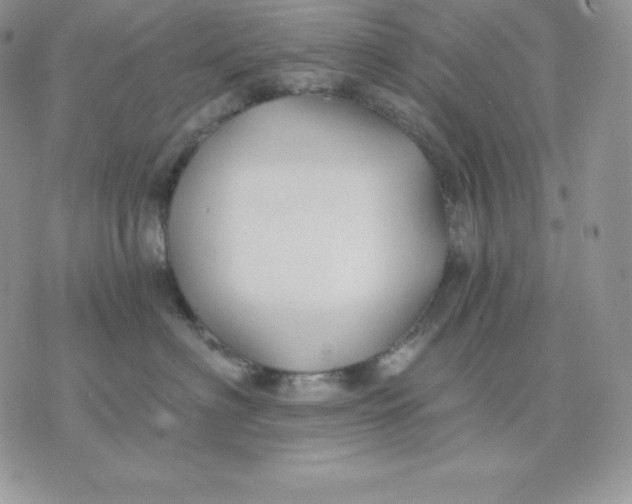 X0000075400622200609291643
