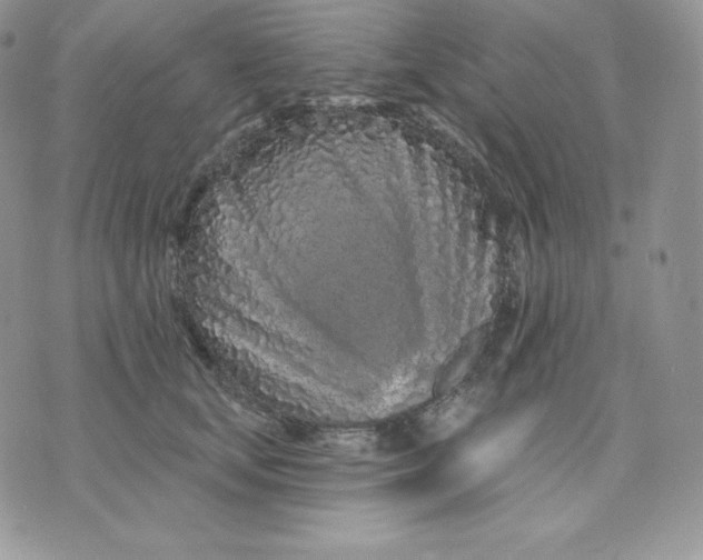 X0000075400659200609291642