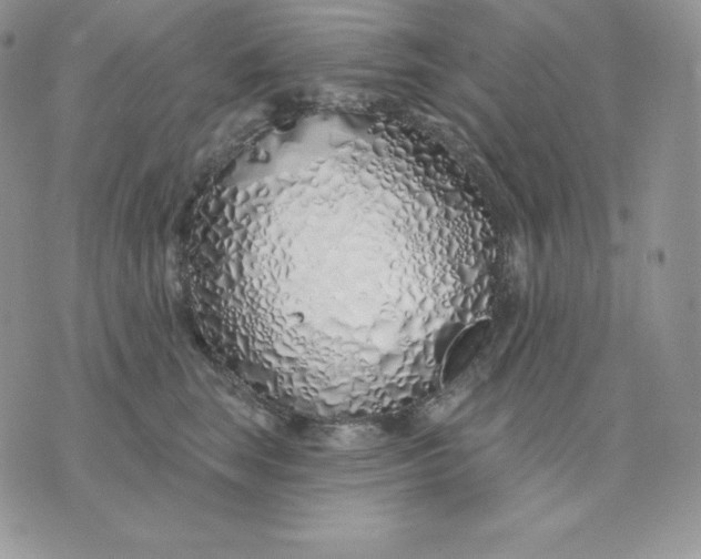 X0000075400663200609291642
