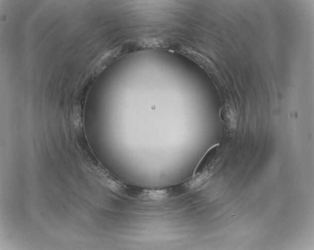 X0000075400665200609291642