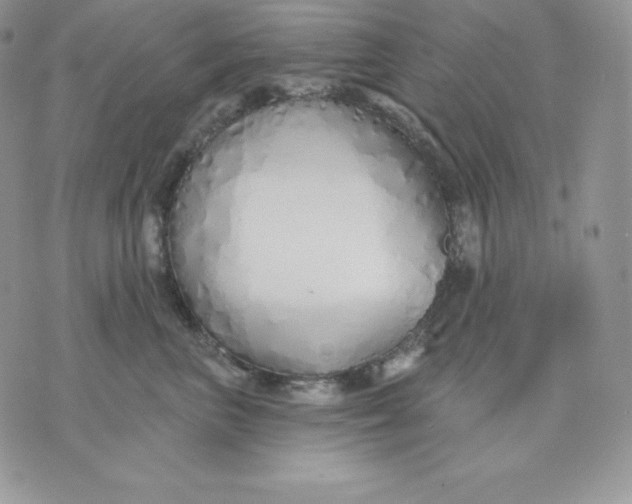 X0000075400667200609291642