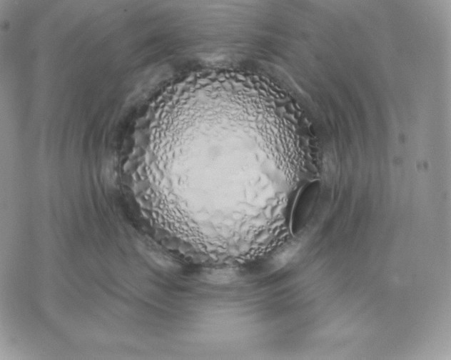 X0000075400671200609291643
