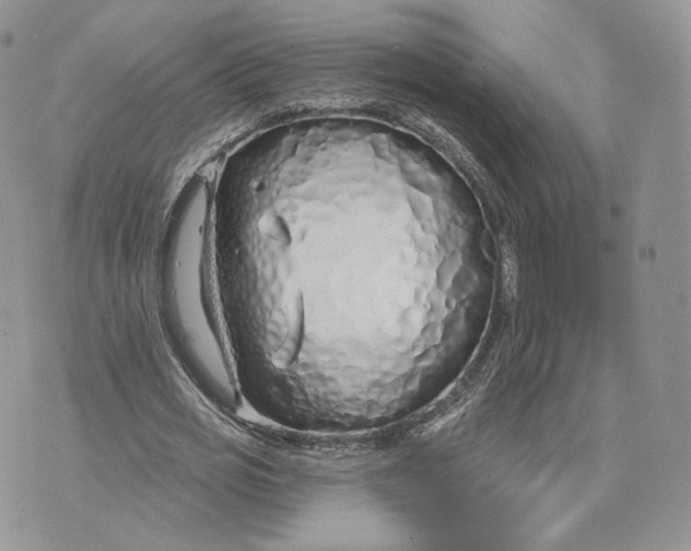 X0000075400725200609291640