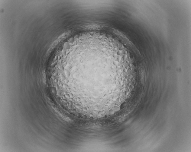 X0000075400729200609291640