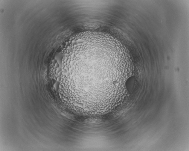 X0000075400745200609291641