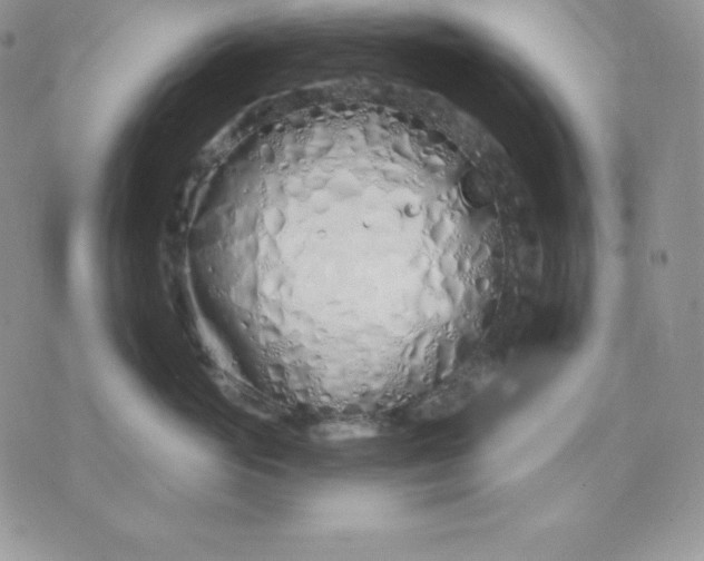 X0000075400765200609291641
