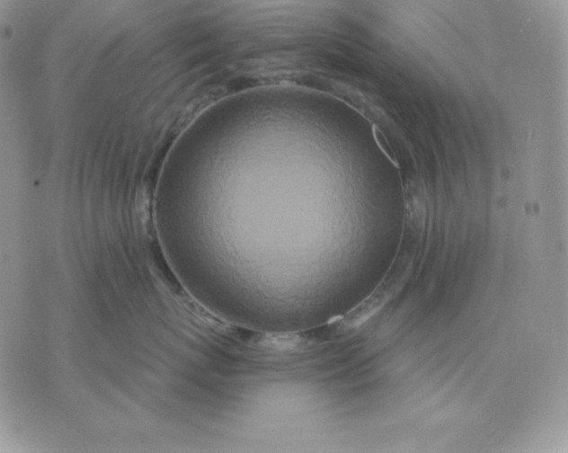 X0000075400767200609291641
