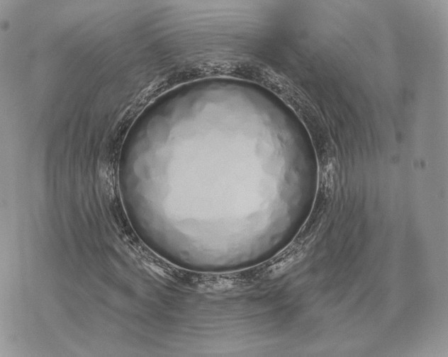 X0000075400772200609291640