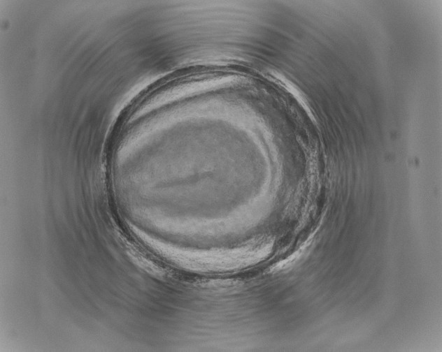 X0000075400779200609291640