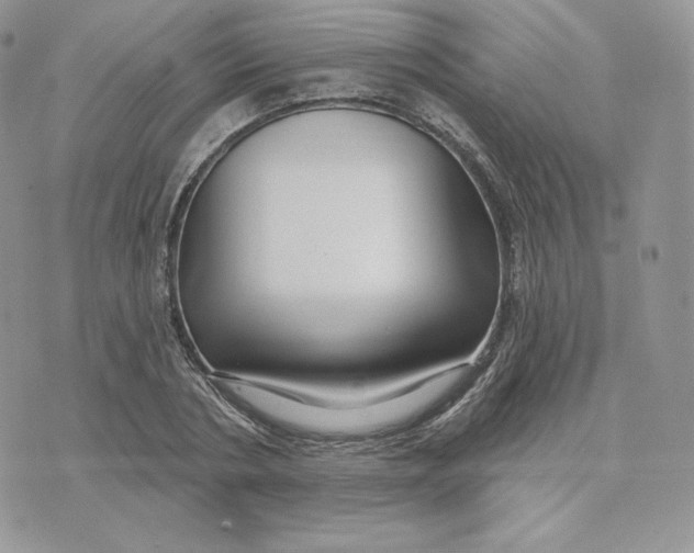 X0000075400786200609291640