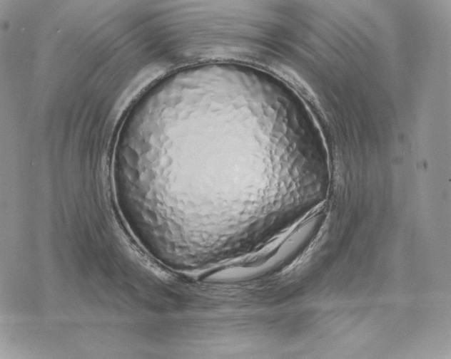 X0000075400798200609291640