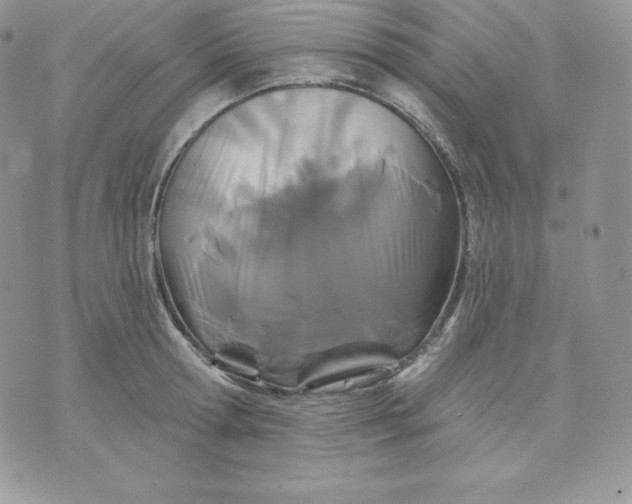 X0000075400802200609291640