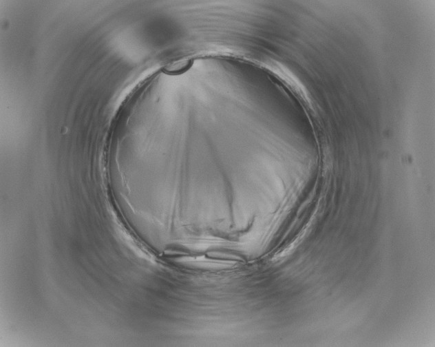 X0000075400806200609291640