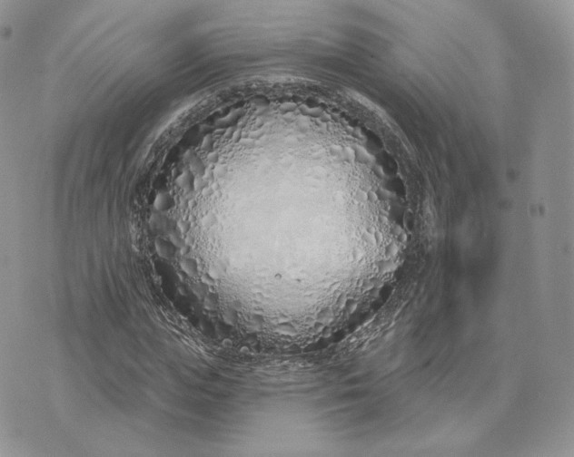 X0000075400823200609291639