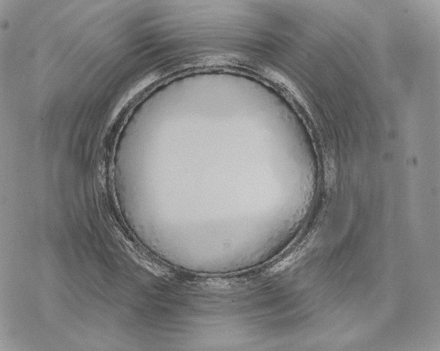 X0000075400827200609291639