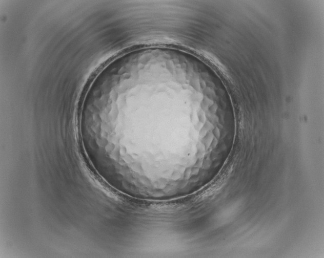 X0000075400840200609291639