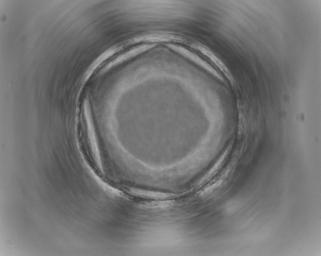 X0000075400853200609291639