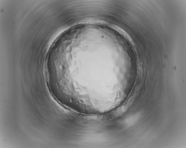 X0000075400855200609291639