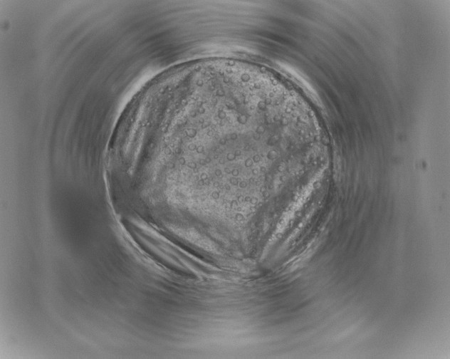 X0000075400899200609291638
