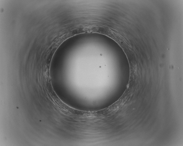 X0000075400914200609291637