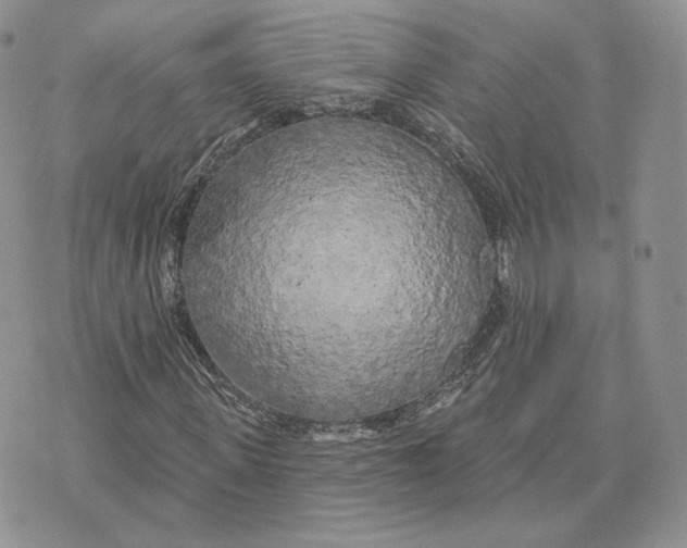 X0000075400915200609291637
