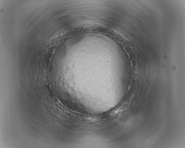 X0000075400917200609291637