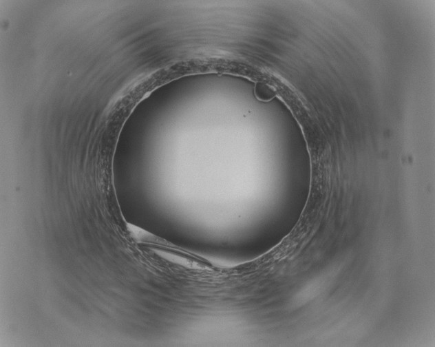 X0000075400919200609291637